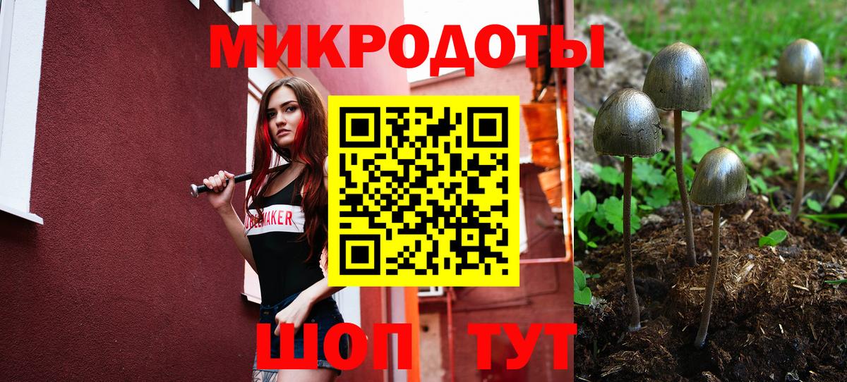Галлюциногенные грибы MAGIC MUSHROOMS  Вход с VPN  Звенигород 